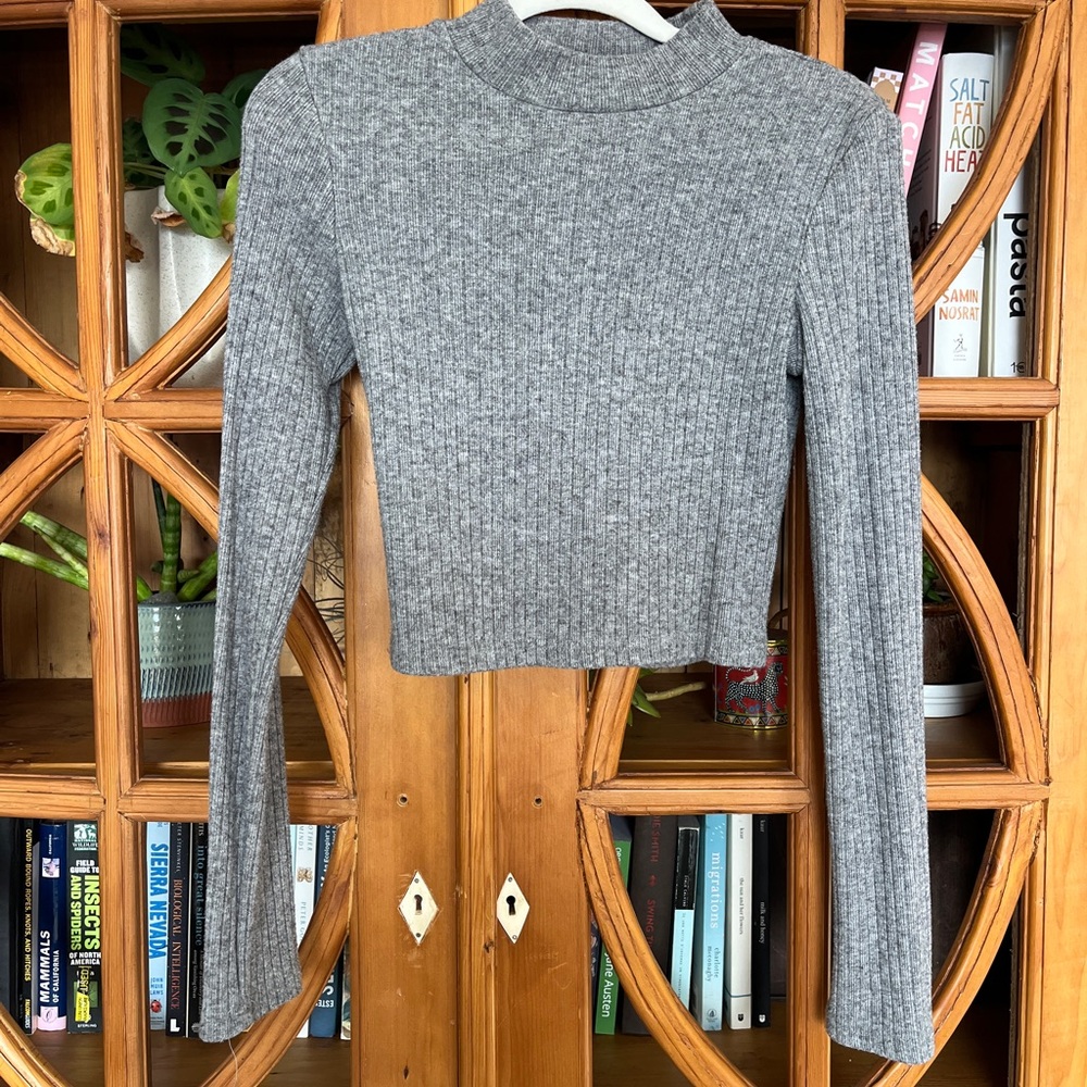 Gray Ribbed Long Sleeve Crop Top OGL